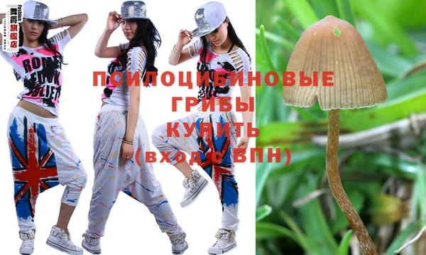 индика Козловка