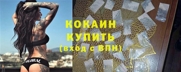 амф Корсаков