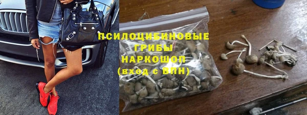 индика Козловка