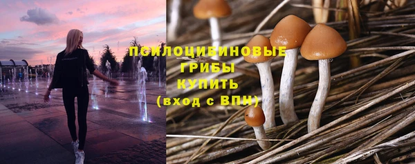 амф Корсаков