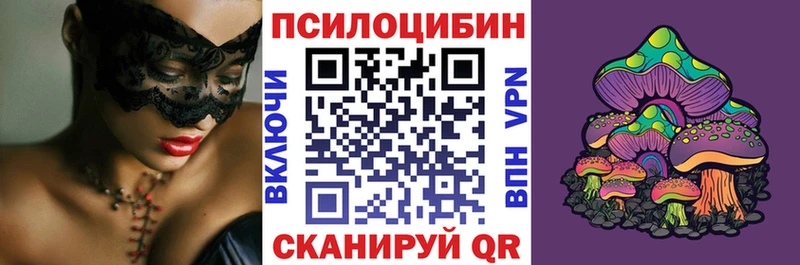Галлюциногенные грибы Psilocybe  Красновишерск 
